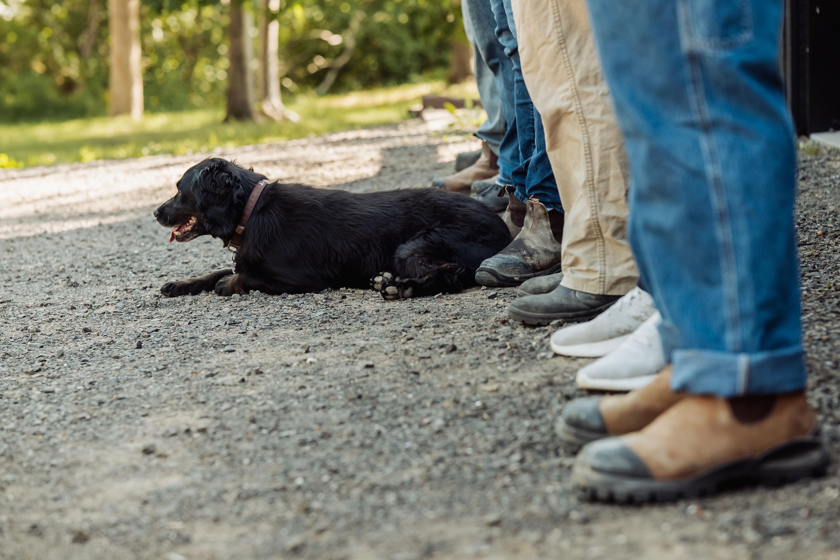 Batten Down Builders